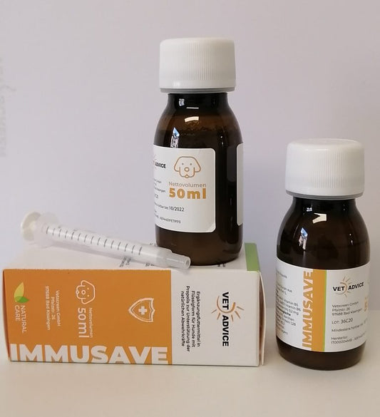 Darmgesundheit Bundel