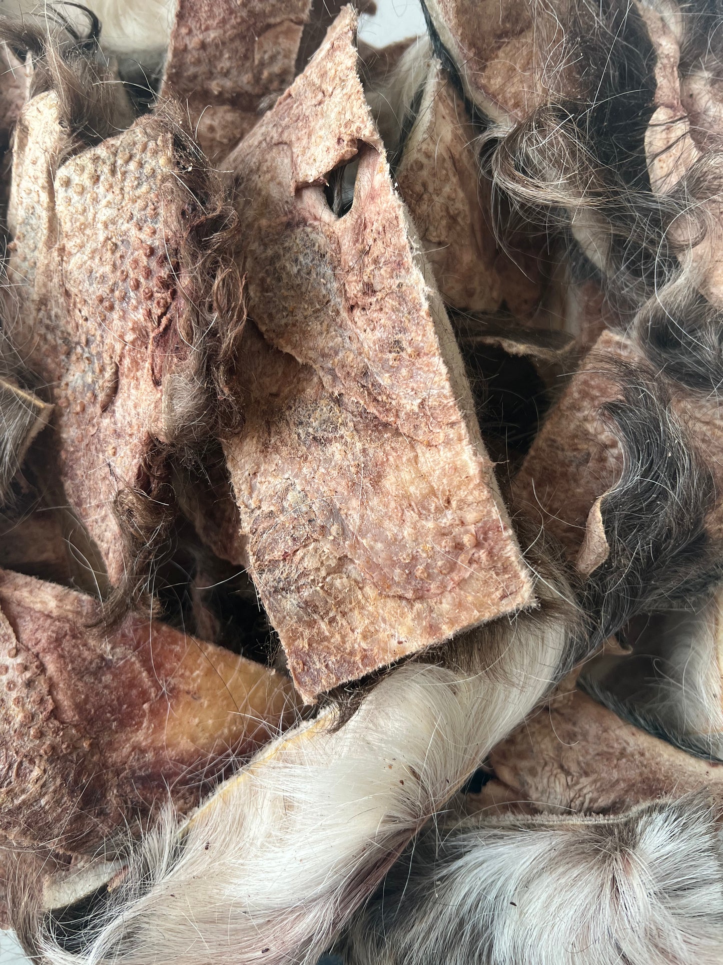 gefriergetrocknete Rinderkopfhaut mit Fell 100g