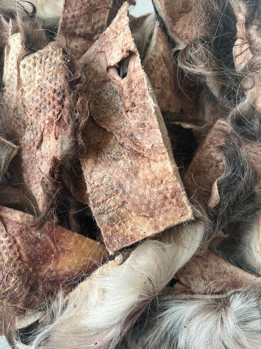 gefriergetrocknete Rinderkopfhaut mit Fell 100g