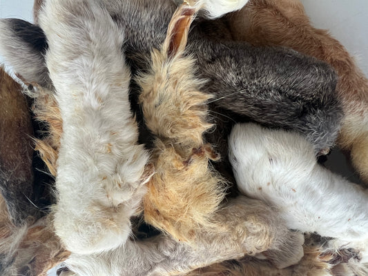 Kaninchenläufe mit Fell