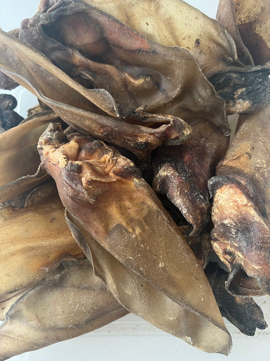 Rinderohren mit Muschel